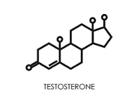 The Impact of Stress on Testosterone and Mood AG.OG..SunoG...